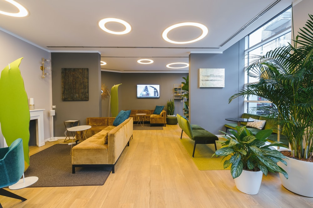 An office with several couches and plants